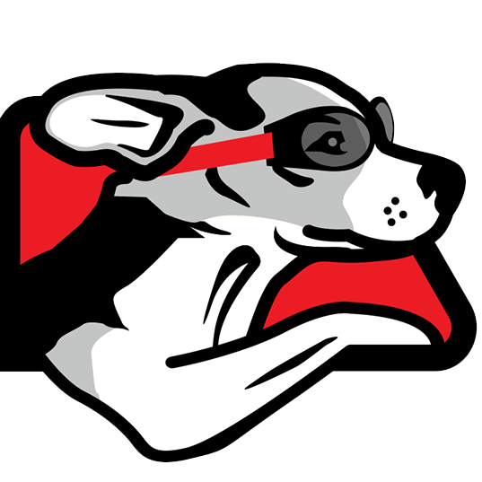 RoadDog Stores logo